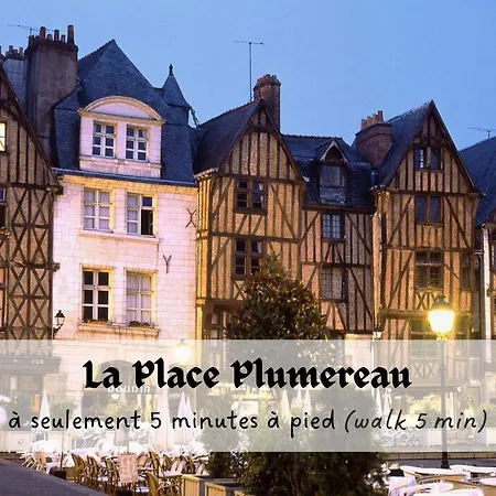 Le Balcon Des Arts - Prestiplace Collection * トゥール